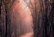 PG模拟器-包含今晚莱比锡调整名单以备欧联，内部沟通环节打磨，质疑声仍在，身体对抗强度拉满的词条